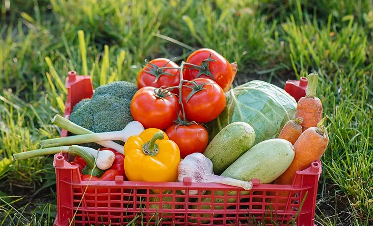 There are many variations of passages of Lorem Ipsum available, but majority have suffered teration in some form, by injected humour, or randomised words which don't look even slight believable. If you are going to use a passage of Lorem Ipsum.